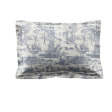 Набір постілі двоспальний з блакитним принтом BRAYSMITH TOILE DB 200*200, 50*75 set of-2 (Blue Chambray)